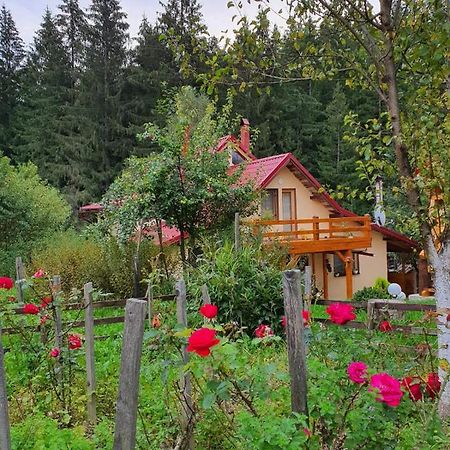 Forest Vibes Spa Cîmpu lui Neag Exteriör bild