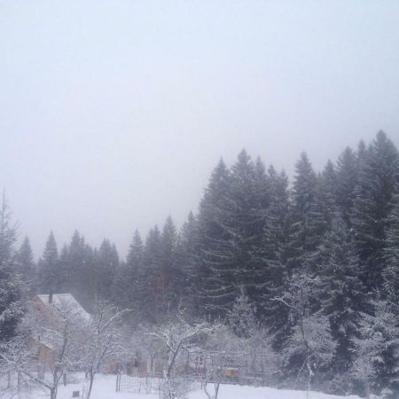 Forest Vibes Spa Cîmpu lui Neag Exteriör bild