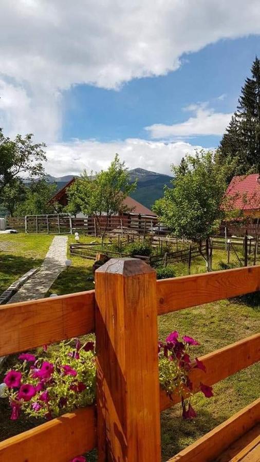 Forest Vibes Spa Cîmpu lui Neag Exteriör bild