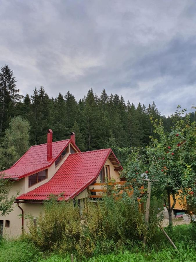 Forest Vibes Spa Cîmpu lui Neag Exteriör bild