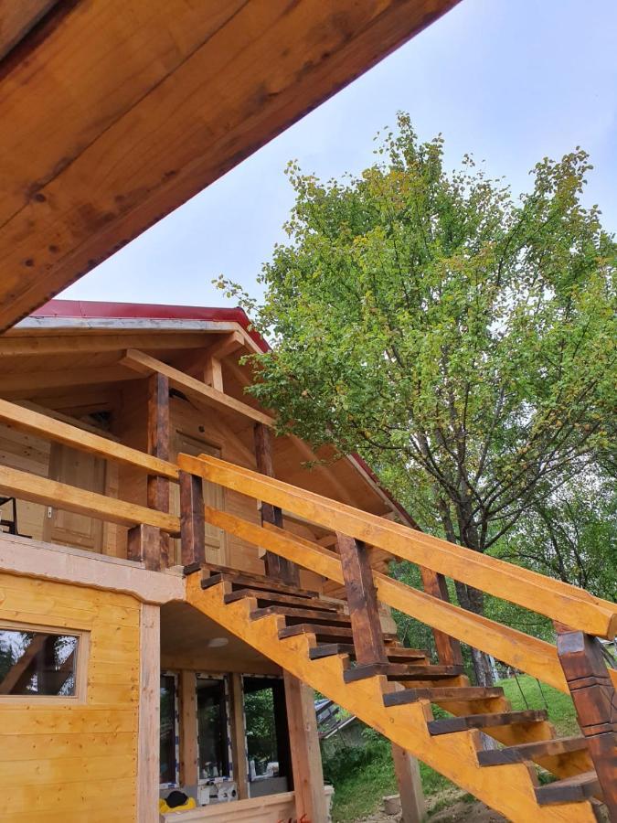 Forest Vibes Spa Cîmpu lui Neag Exteriör bild