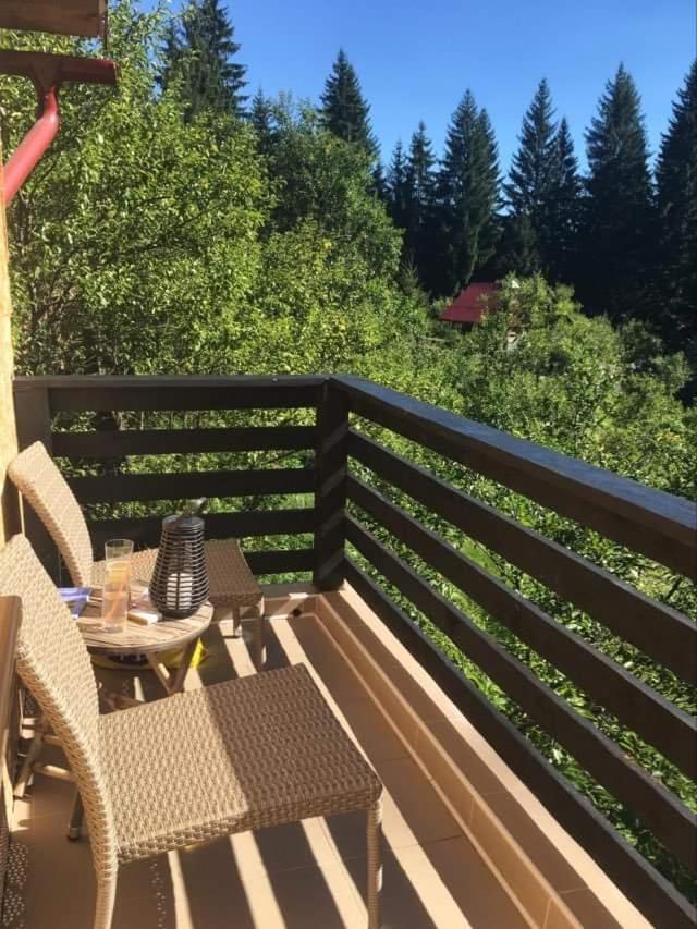 Forest Vibes Spa Cîmpu lui Neag Exteriör bild