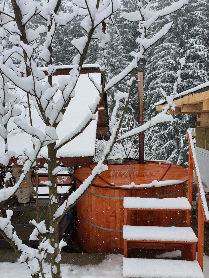 Forest Vibes Spa Cîmpu lui Neag Exteriör bild