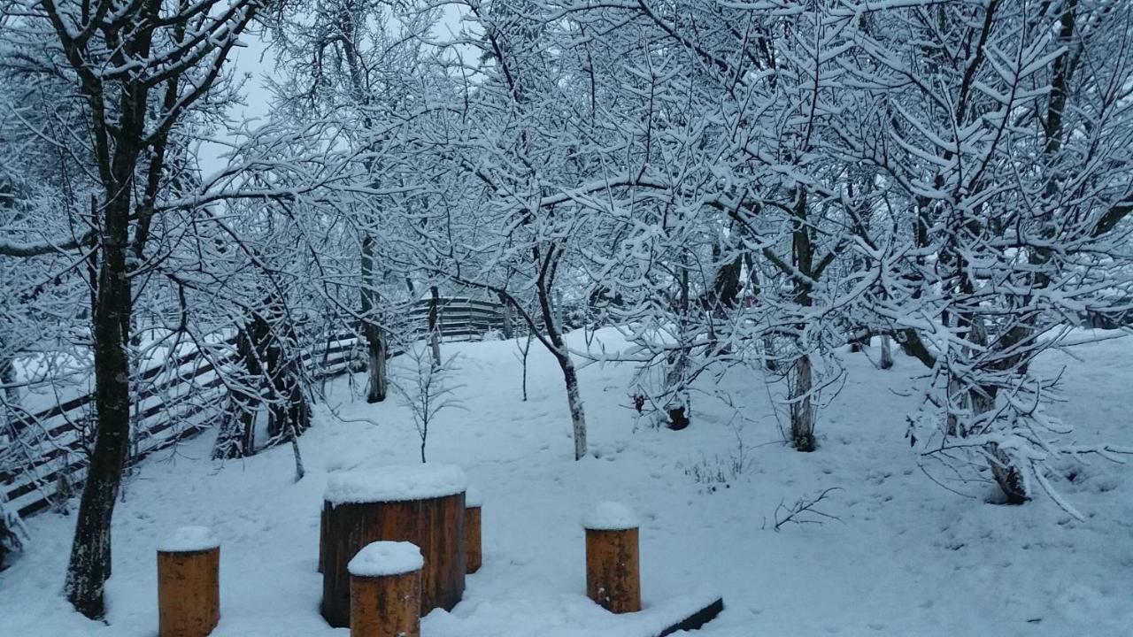 Forest Vibes Spa Cîmpu lui Neag Exteriör bild
