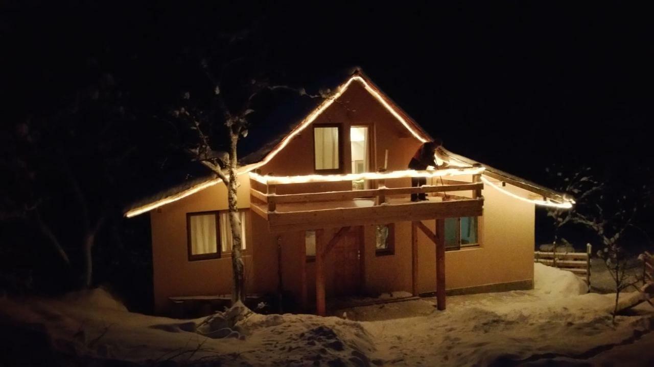 Forest Vibes Spa Cîmpu lui Neag Exteriör bild