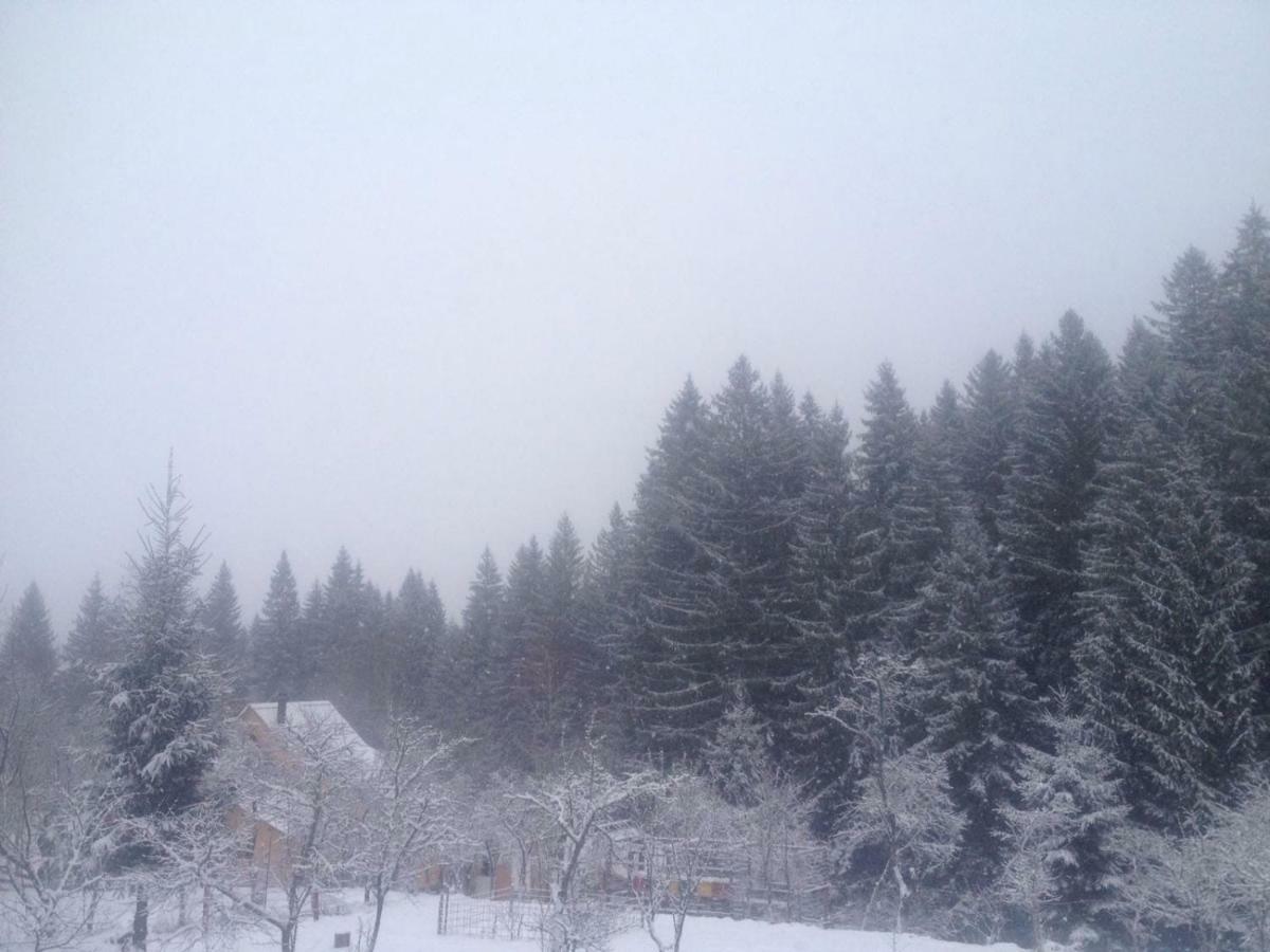 Forest Vibes Spa Cîmpu lui Neag Exteriör bild
