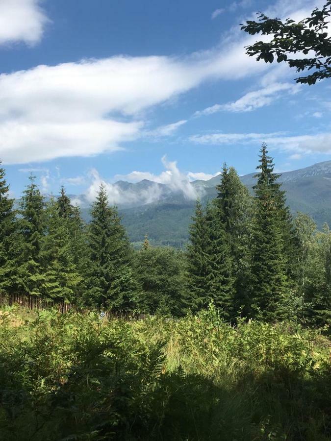 Forest Vibes Spa Cîmpu lui Neag Exteriör bild