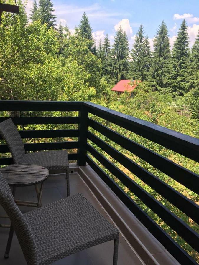Forest Vibes Spa Cîmpu lui Neag Exteriör bild