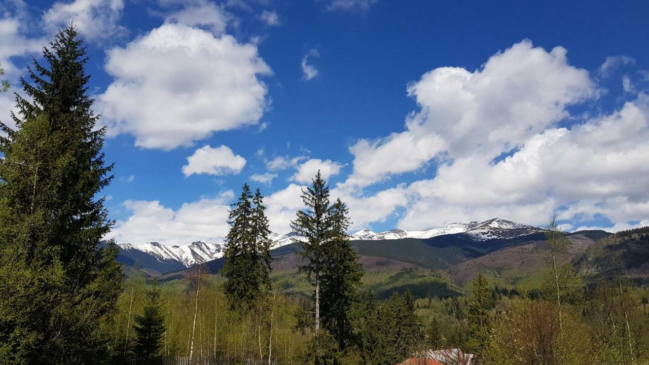 Forest Vibes Spa Cîmpu lui Neag Exteriör bild